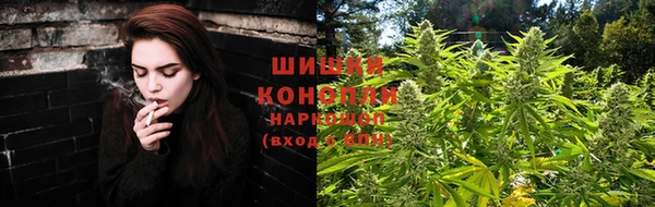 PSILOCYBIN Покровск