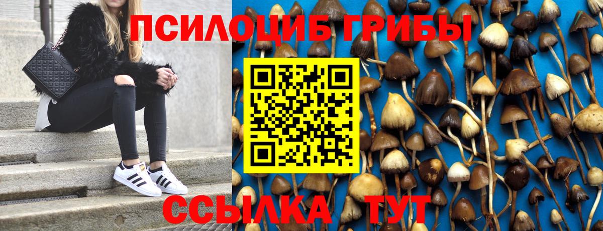 где купить наркоту  Вход с VPN  Галлюциногенные грибы MAGIC MUSHROOMS  Глазов  Галлюциногенные грибы MAGIC MUSHROOMS 